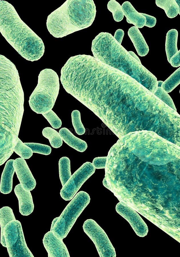 bacteria-methanotrophs-dr-monali-raharkar-pune Methanotrophs Microscopic view