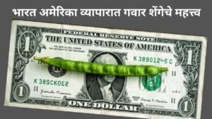 Symbolic feature image with an Indian Guar pod set on a Dollar bill